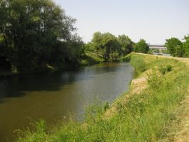 Berounka 1 - tůň Pískovna Šárovo kolo-3.6.11.jpg